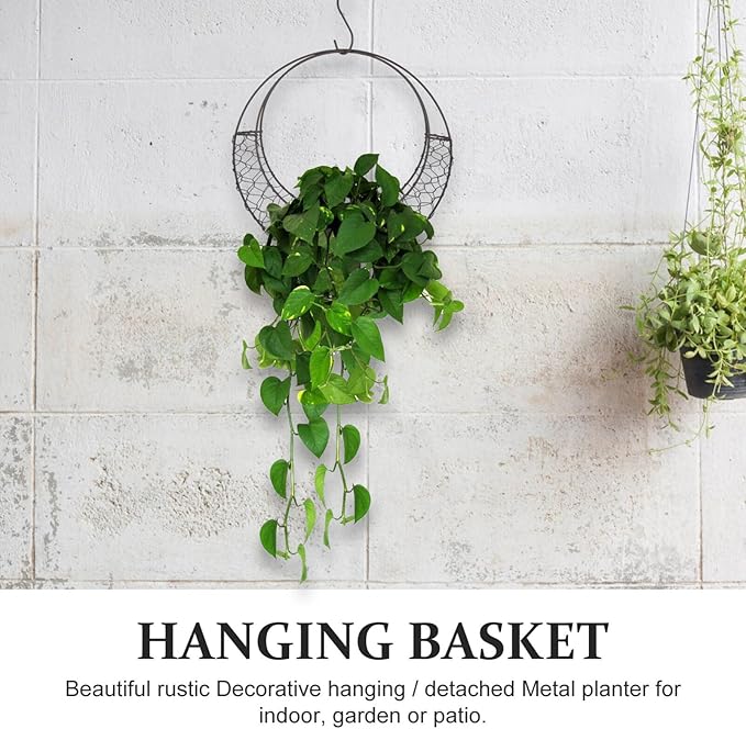 Air Plants Holders Wire Wreath Frame Hanger, 11 inch Moon Shape Wreath Form Hanging Plant Holder Metal Hanging Orchid Planter Plant Basket Holder, Succulent Wire Wreath Frame with Hook