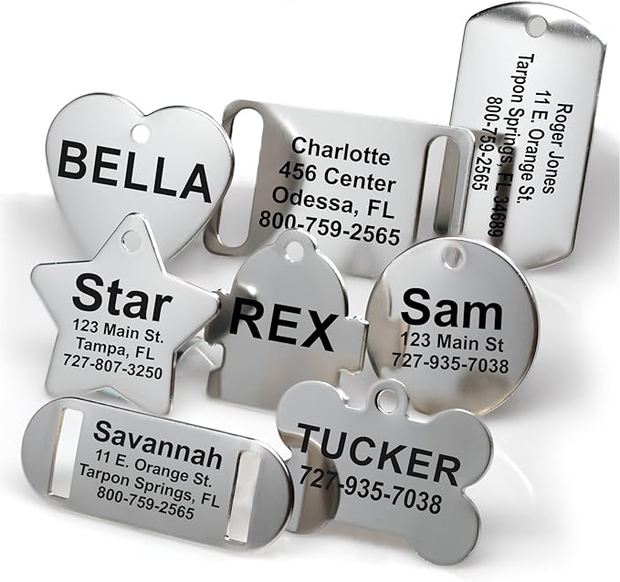 Providence Engraving Custom Engraved Stainless Steel Pet ID Tags - Personalized Front and Back Identification, for Large or Small Cats and Dogs, Bone, Small