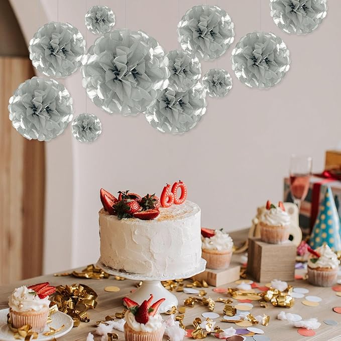 Tissue Paper Pom Poms, Silver Tissue Paper Flowers, Hanging Flower Balls for Weddings Fiesta Parties Birthday Baby Showers Classroom Bridal Shower Decoration (20Piece Set-6/10/12/14Inch)