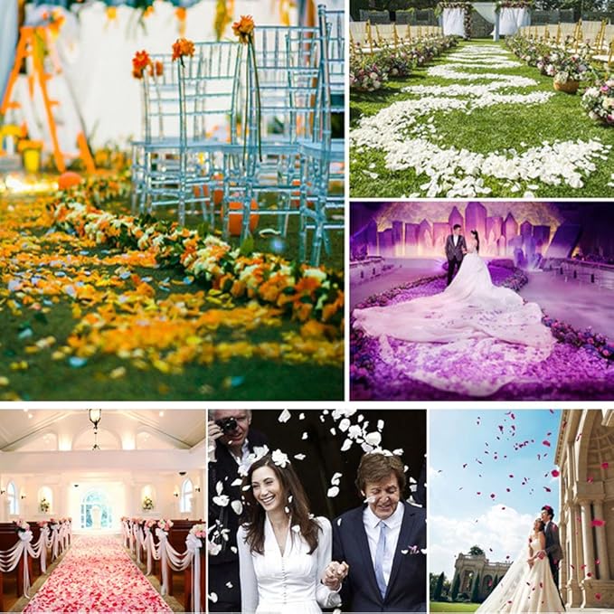 ocharzy 1000 PCS Rose Petals Fake Rose Petals for Romantic Night, Wedding Flower Decoration, Party, Events (Light Blue+White)
