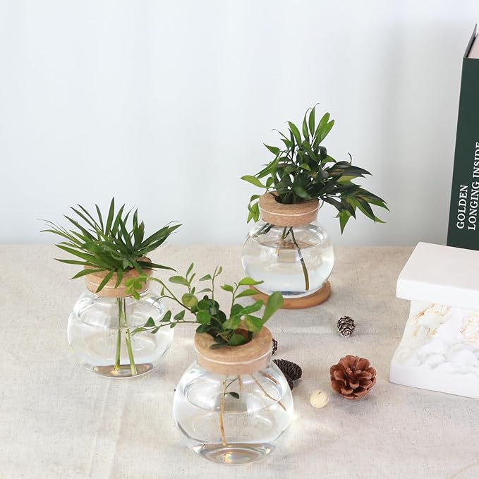 Tabletop Plant Propagation Station,Aquatic Plant Culture Glass Mini vase,with Wooden Dish，Gifts for Plant Lovers, Suitable for desks, House, Garden Decorations (2pcs)
