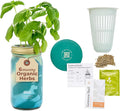 Modern Sprout Mason Garden Jar - Self-Watering Hydroponics Growing System Kit with Organic Herb Seeds - Jar Planter for Indoor Herb Garden - Seed Starter Kit - Home Decor & Gifting - Basil