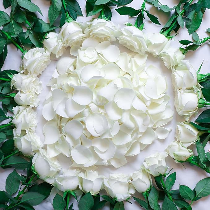 Dried Real White Rose Petals, Freeze Preserved Flower Petals 2.8 oz for Valentine's Day Gifts Wedding Party Decor, Flower Girl, Dinner Table Centerpieces, Bridal Shower, Flower Confetti 80g
