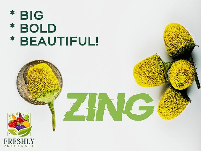 Buzz Buttons Edible Flowers for Cocktails & Desserts - 20 USA Grown Flowers for Drink Garnish - Freeze-dried Spilanthes/Szechuan Button/Acmella Oleracea Flowers (0.2 oz)