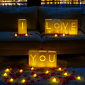 Homemory I Love You Light Up Letters Proposal Decorations with Flameless Candles and Fake Rose Petals, Valentine's Day Luminary Bags Romantic Decorations Special Night for Wedding Anniversary