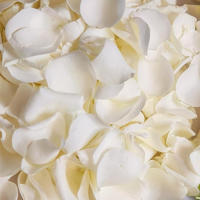 Dried Real White Rose Petals, Freeze Preserved Flower Petals 1.75oz for Valentine's Day Gifts Wedding Party Decor, Flower Girl, Dinner table Centerpieces, Bridal Shower, Flower Confetti 50g