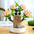 Brazilian Lucky Wood Plant Kit, Lucky Wood Doesn't Need to Wait to Sprout, Suitable for Home Office Desk Decor, Natural Air Cleaner (D)