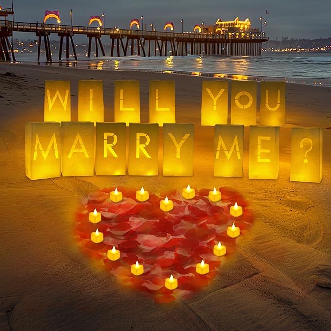 Homemory Will You Marry Me Light Up Letters Proposal Decorations with Flameless Candles and Fake Rose Petals, Valentine's Day Luminary Bags Decorations for Wedding Engagement