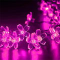 Hot Pink Aesthetic Flower Lights String Indoor Decorations, 33Ft 100 LED Decorative Tree Bedroom Window Hanging Fairy Cherry Blossom Lights for Valentine's Day, Wedding Party, Christmas Decor
