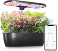LETPOT LPH-Lite Hydroponics Growing System, 12 Pods Smart Herb Garden Kit Indoor, Indoor Garden, APP & WiFi Controlled, with 24W Growing LED, 5.5L Water Tank, Pump System, Automatic Timer