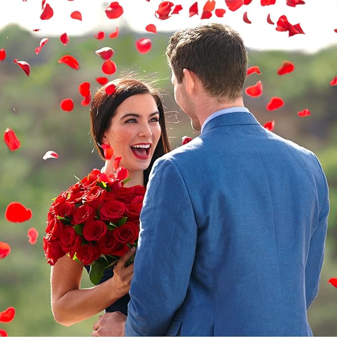 Ouddy Decor 5000 Pcs Rose Petals Artificial Flower for Valentine's Wedding Decor Romantic Night Event Anniversary Shower Engagement Party Home Decorations, Red