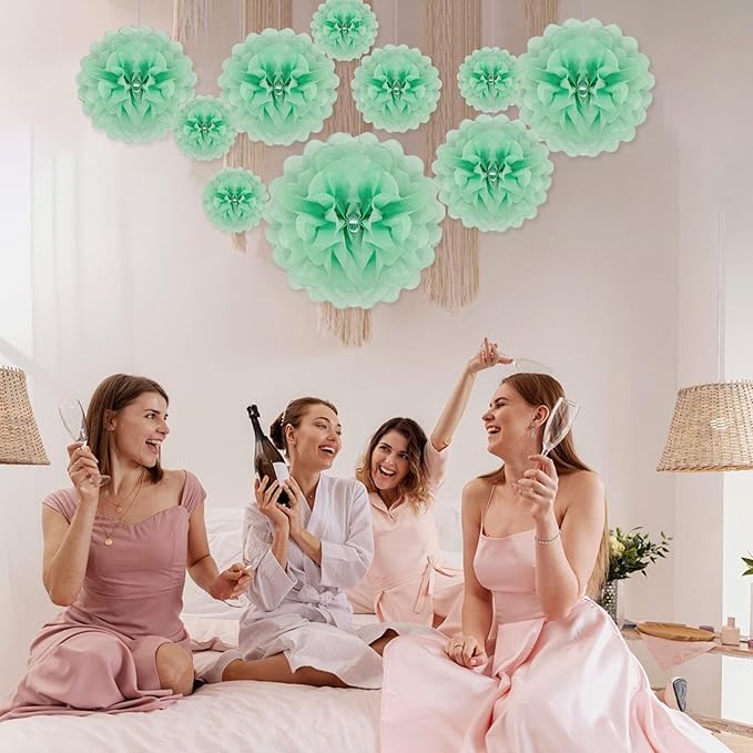 Tissue Paper Pom Poms, Light Green Tissue Paper Flowers, Hanging Flower Balls for Weddings Fiesta Parties Birthday Baby Showers Classroom Bridal Shower Decoration (20Piece Set-6/10/12/14Inch)