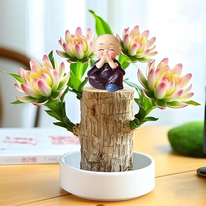 Brazilian Lucky Wood Plant Kit, Lucky Wood Doesn't Need to Wait to Sprout, Suitable for Home Office Desk Decor, Natural Air Cleaner (E)