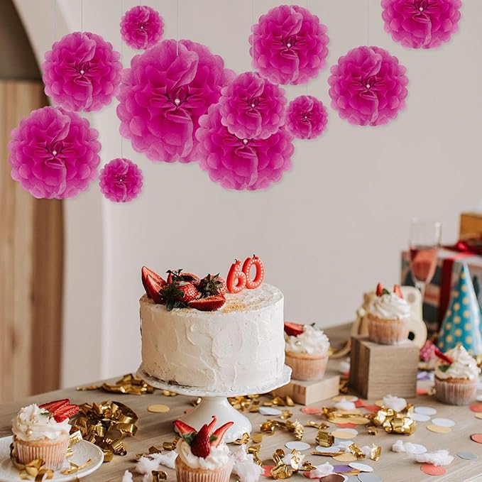 Tissue Paper Pom Poms, Fuchsia Tissue Paper Flowers, Hanging Flower Balls for Weddings Fiesta Parties Birthday Baby Showers Classroom Bridal Shower Decoration (20Piece Set-6/10/12/14Inch)