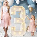 Ledido 4FT Marquee Light Up Numbers Large Light Up Letters for Party Decoration, Marquee Numbers for 3rd 30th Birthday Anniversary, Pre-cut Foam Board Assembly Required Number 3