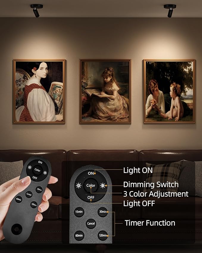 EZVALO Wireless LED Spotlights Indoor, 5500mAh Rechargeable Battery Powered Plants Spotlights Indoor, Dimmable & Timer, 3 CCT Small Up Lights with Remote, Accent Uplighting for Artwork,Tree(Black)