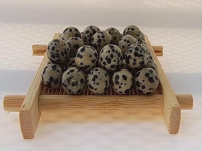 Stone Beads 10mm 60pcs Dalmation Spot Jasper Beads Round Loose Gemstones Beads for Bracelet Necklace Jewelry Making (10mm, 61009 Dalmation Spot Jasper)