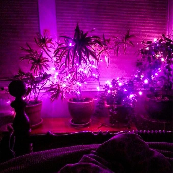 Purple String Lights, 33ft 100 LED 8 Modes Clear Wire Plug in Christmas Easter Tree Decorative Light for Wedding Birthday Party Window Bedroom Hanging Decorations