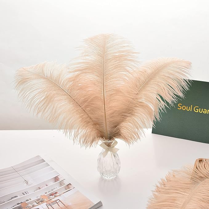 Ballinger Large Champagne Ostrich Feathers - 24pcs 12-14inch Boho Feathers for Vase and Home Decor Wedding Party Centerpieces