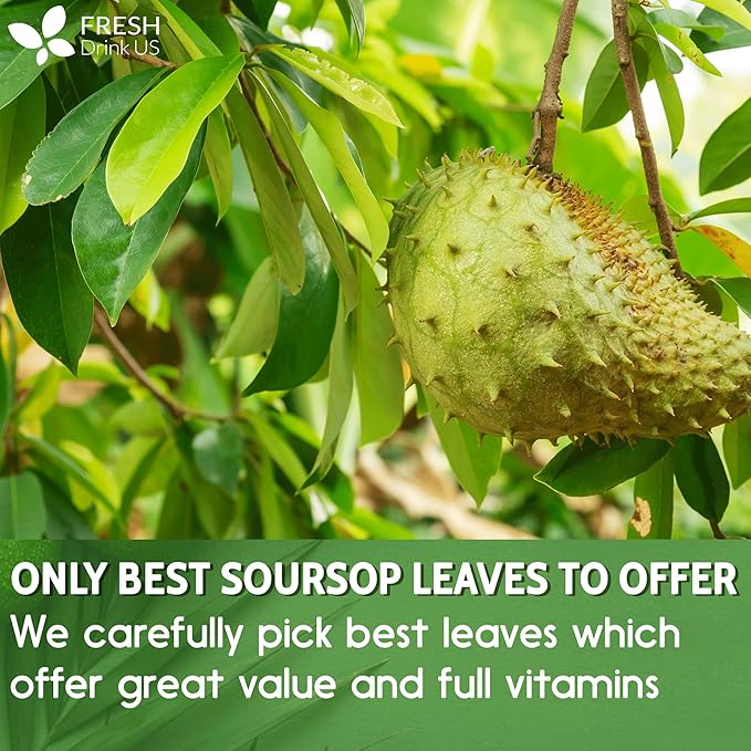 FreshDrinkUS, 120+ Premium Soursop Graviola Dried Leaves Tea, 40 Cups, 120-130 Natural Leaves, Whole Leaves, Wildcrafted, Graviola, Hoja Guanabana, Soursop Loose Leaf Herbal Tea, No Gluten, Vegan