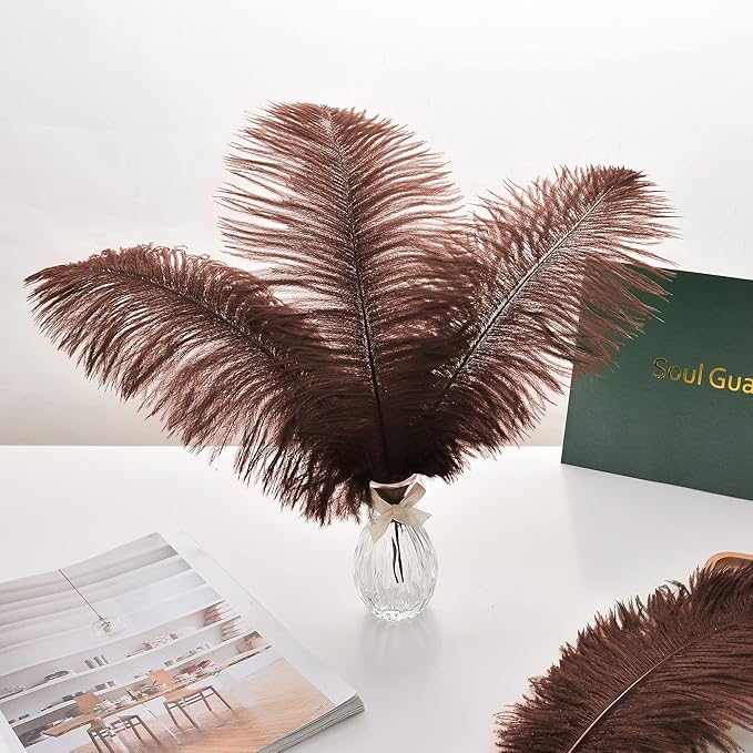 Ballinger Brown Big Ostrich Feathers - 24pcs 12-14inch Large Feathers for Party Centerpieces, Flower Arrangement and Home Decor