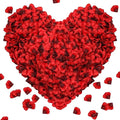 1000Pieces Rose Petals, Artificial Flower Petals Fake Rose Petals for Romantic Night,Wedding,Proposal Anniversary Flower Decorations (Big Red Dot Black)