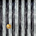 BEISHIDA 2Pcs Black Silver Door Streamers Congrats Grade 2025 Decoration Backdrop Foil Fringe Tinsel Party Streamers Curtains for Birthday Graduation Bachelorette Party Decoations (3.28 ft x 6.56 ft)