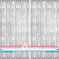 Silver Foil Fringe Backdrop Curtains,2 Pack Tinsel Streamers Birthday Party Decorations,Silver Fringe Backdrop for Birthday,Graduation,Baby Shower,Gender Reveal,Wizard Party,Cocktail,Disco,3.3x6.6ft