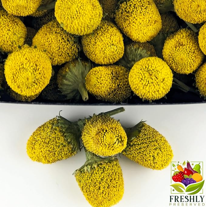 Buzz Buttons Edible Flowers for Cocktails & Desserts - 20 USA Grown Flowers for Drink Garnish - Freeze-dried Spilanthes/Szechuan Button/Acmella Oleracea Flowers (0.2 oz)