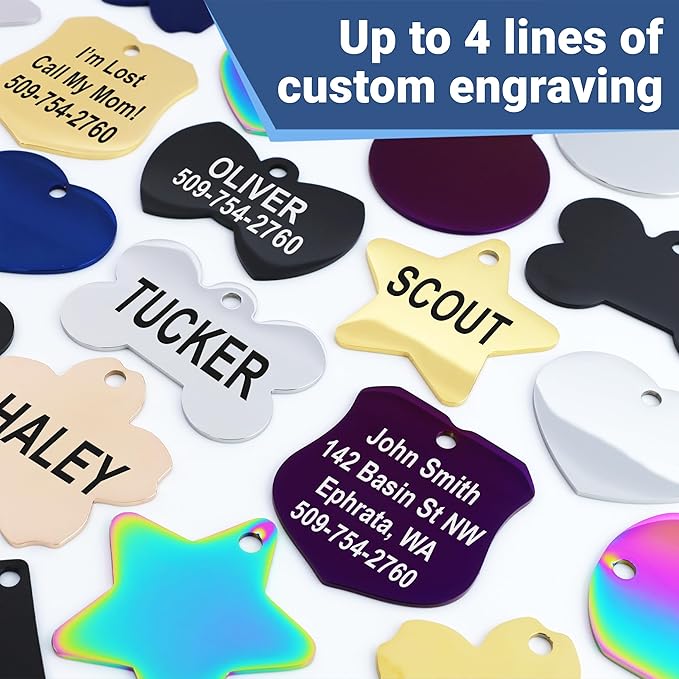 GoTags Stainless Steel Pet ID Tags, Personalized Dog Tags and Cat Tags, up to 8 Lines of Custom Text, Engraved on Both Sides, in Bone, Round, Heart, Bowtie and More (Heart, Small (Pack of 1))