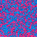 Edible Pink and Blue Sprinkles, Jimmy Sprinkles, Pink Jimmies Sprinkles, Blue Jimmies Sprinkles, Gender Reveal Sprinkles Candy for Cake, Cupcakes, Cookies, Macaron, and Ice Cream Topping(120g/4.23oz)