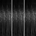 3 Pack 3.3 x 6.6 ft Black Foil Fringe Backdrop Curtains, Tinsel Streamers Party Decorations, Fringe Backdrop for Birthday, Baby Shower, Gender Reveal, Graduation