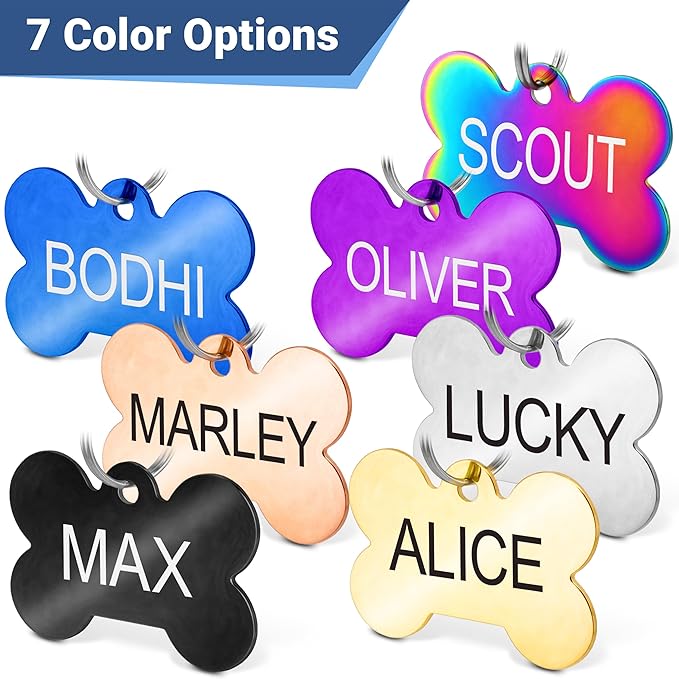 GoTags Stainless Steel Pet ID Tags, Personalized Dog Tags and Cat Tags, up to 8 Lines of Custom Text, Engraved on Both Sides, in Bone, Round, Heart, Bowtie and More (House, Regular (Pack of 1))