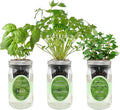 Hydroponic Herb Growing Kit Set, Self-Watering Mason Jar Herb Garden Starter Kit Indoor, Window Herbs Garden, Grow Your Own Herbs from Organic Seeds (Basil, Cilantro and Mint)