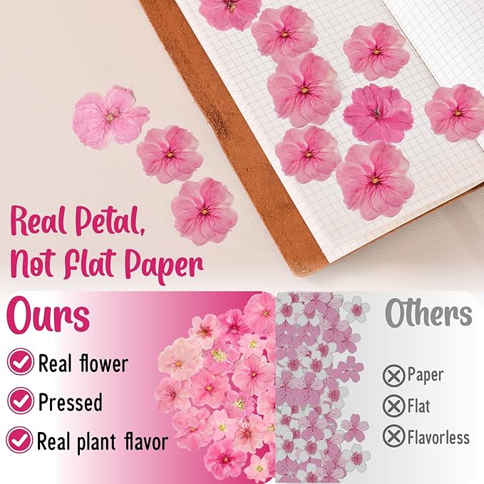 40 Pcs 2 Kinds Natural Pressed Dried Edible Flowers for Cake Topper Decoration - Pink Mix Sakura, Cherry Blossoms for Cupcake Toppers, Cocktails, Resin Jewelry, DIY Crafts