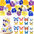 80 Pcs 8 Kinds Natural Real Dried Pressed Edible Flowers & Edible Butterflies for Cake Topper Decorating - Mix Viola Tricolor for Cupcake Toppers, Cocktails, Resin Jewelry Making, DIY Art Crafts