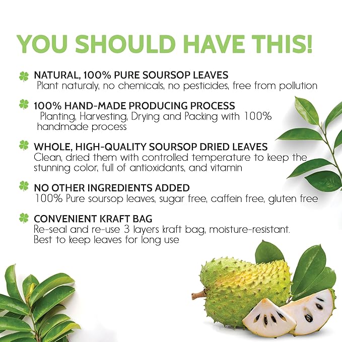 FreshDrinkUS, 120+ Premium Soursop Graviola Dried Leaves Tea, 40 Cups, 120-130 Natural Leaves, Whole Leaves, Wildcrafted, Graviola, Hoja Guanabana, Soursop Loose Leaf Herbal Tea, No Gluten, Vegan