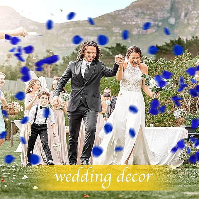 200Pcs Real Dried Preserved Royal Blue Rose Petals, Natural Flowers 1.75oz for Romantic Night Wedding Dinner Table Party Confetti Bridal Shower Decor, Royal Blue Decorations