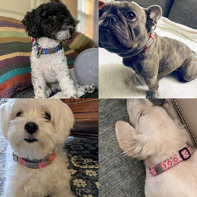 Personalized Dog Name Tag - No Noise - Engraved Slide On Cat ID - Custom Collar Tags for Small to Large Pets - Silent Puppy Identification