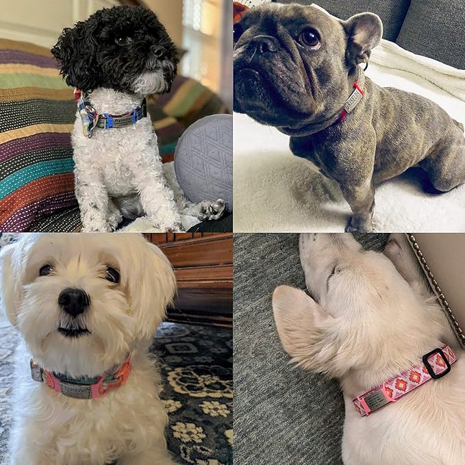 Personalized Dog Name Tag - Slide On Cat ID - Custom Collar Tags for Small, Medium, Large Dogs & Cats - Silent Customized Puppy Identification