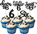 30Pcs 6th Birthday Cupcake Toppers Glitter Six Hello 6 Cupcake Picks Cheers to 6 Years Old Cake Decorations for 6th Birthday Party Supplies Black