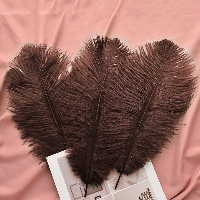 Ballinger Brown Ostrich Feathers Bulk - 24pcs 10-12inch Boho Feathers for vase，Wedding Party Centerpieces and Home Decor
